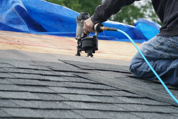 Best Storm Damage Roof Repair  in Jamestown, NY